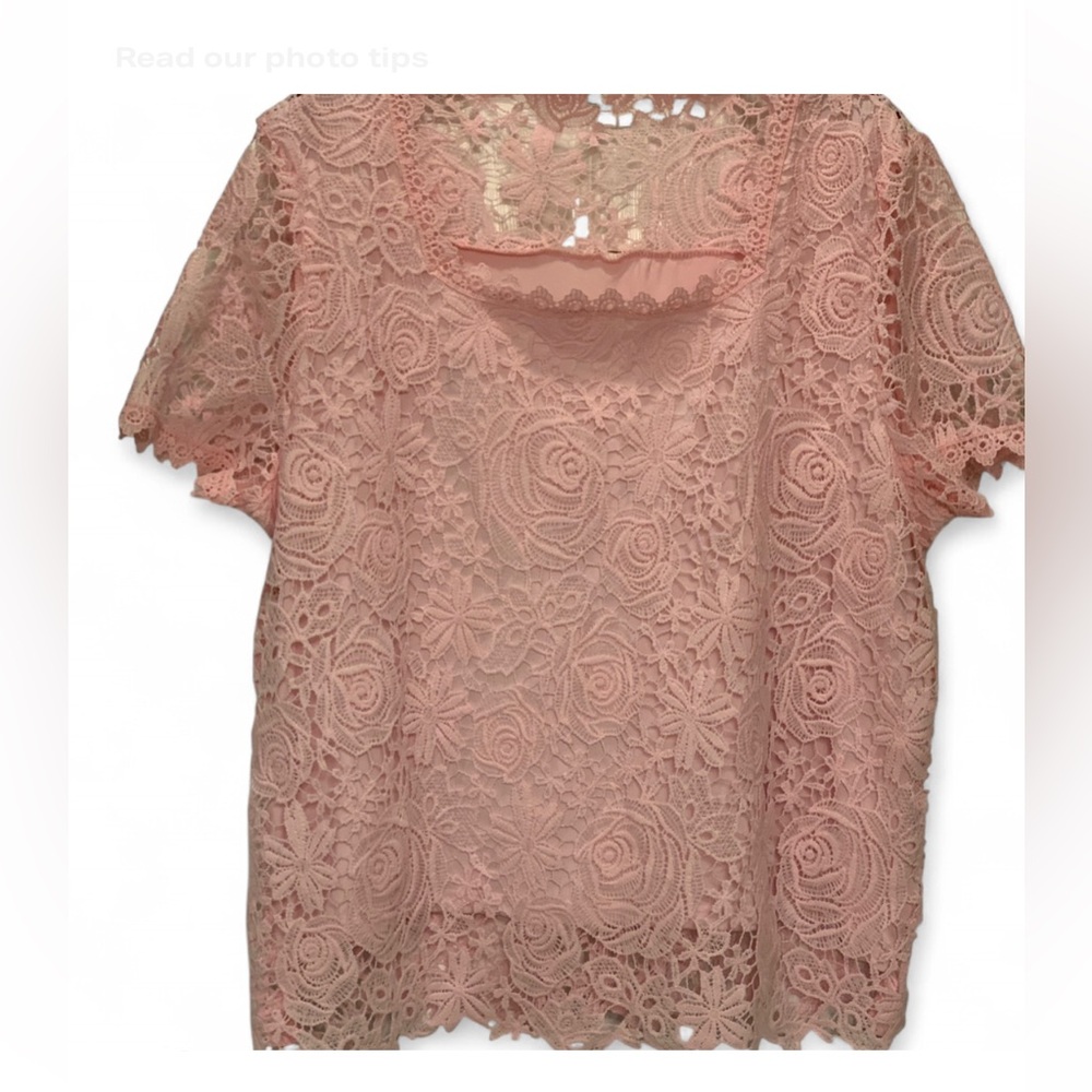 Fairy Barbiecore Cottagecore Feminine  Pink Lace Women size XXL